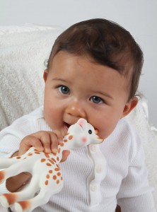 Teething Baby Giraffe