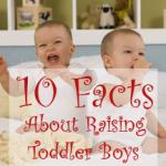 10 Facts About Raising Toddler Boys