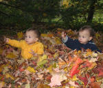 Fall Activities for Families with Twins